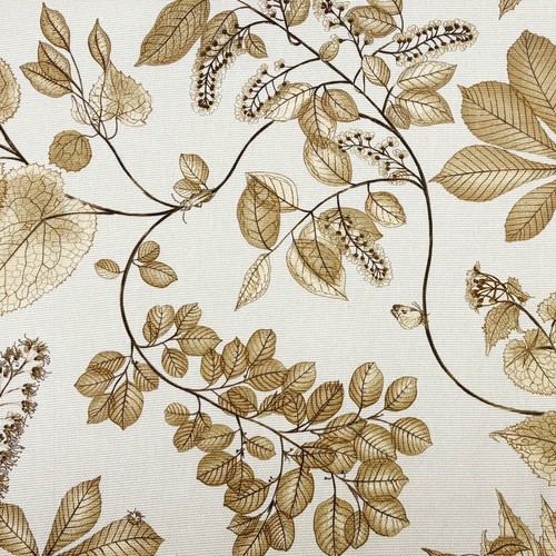 Kaufmann botanical leaf - p,